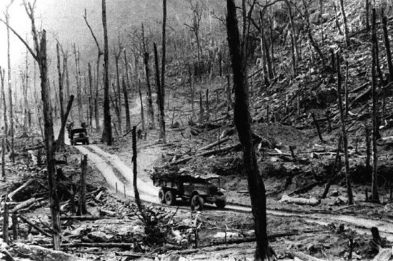 Đoàn xe vận tải chở hàng tiếp viện cho miền nam ruột thịt chạy trên "đường mòn Hồ Chí Minh" vốn bị máy bay Mỹ đánh phá ác liệt cả ngày lẫn đêm.