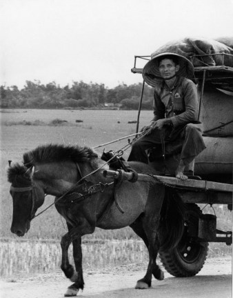 Người nông dân chở nông sản trên xe ngựa kéo.