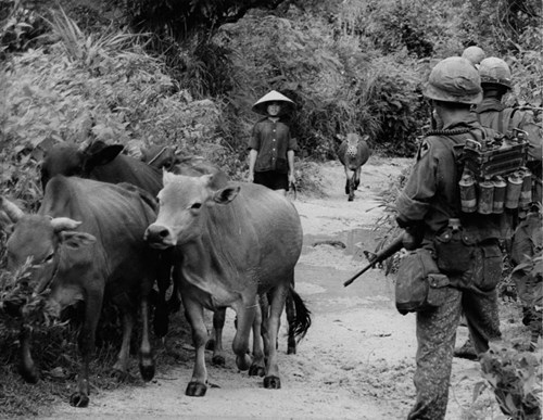 Binh sĩ Mỹ bắt gặp một cậu bé chăn bò khi đi tuần tra dọc một con đường đất.