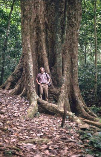 nhiếp ảnh gia Đức Hans-Peter Grumpe đứng dưới cây Trò khoảng 1000 năm tuổi