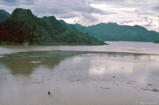 Gỗ trên sông Đà được trôi về tập kết tại bến bái  là nguồn thu lớn của địa phương.